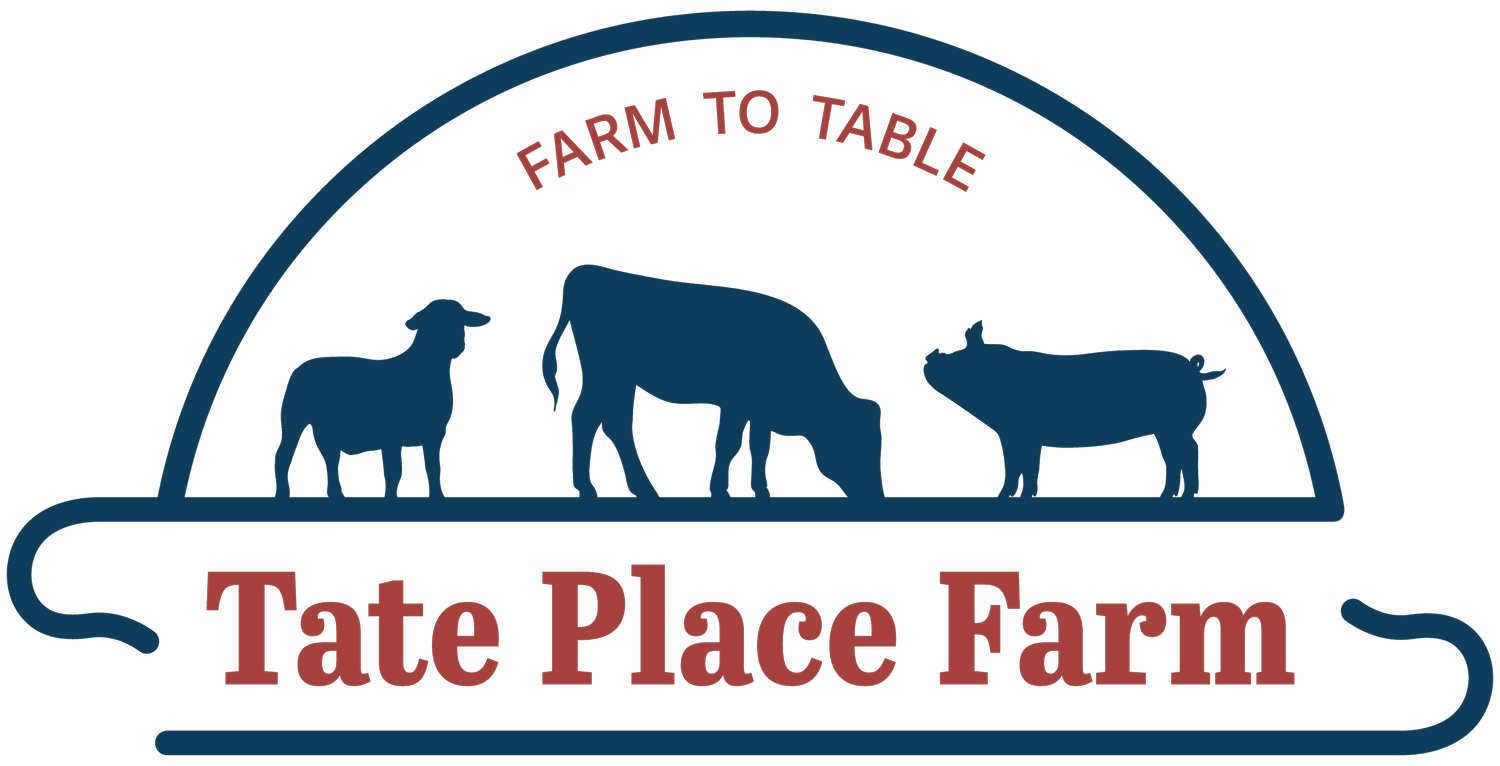 Silhouette of a goat inside a square frame, representing a farm logo for agricultural branding.
